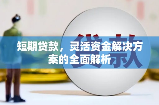 镇安短期贷款，灵活资金解决方案的全面解析