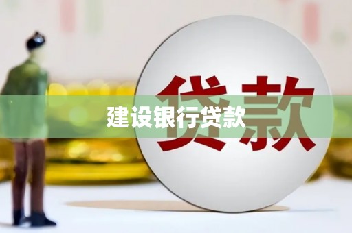 镇安建设银行贷款