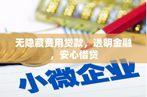 镇安无隐藏费用贷款，透明金融，安心借贷