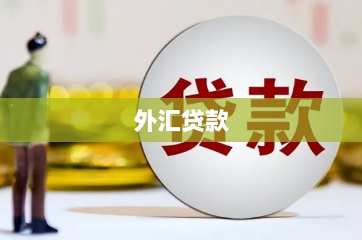 镇安外汇贷款