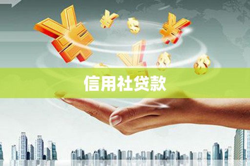 镇安信用社贷款