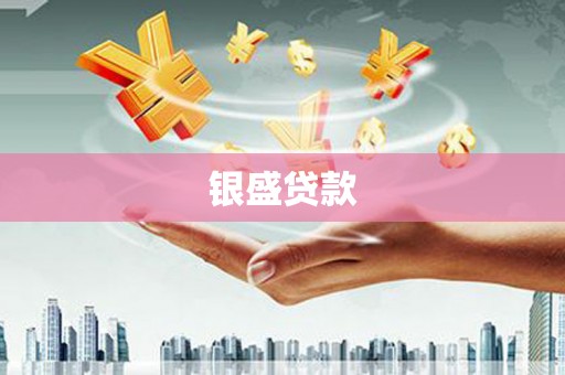 镇安银盛贷款