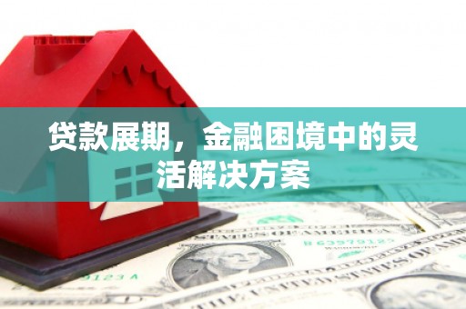 镇安贷款展期，金融困境中的灵活解决方案