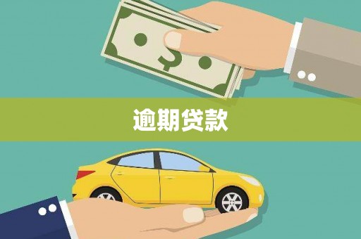 镇安逾期贷款