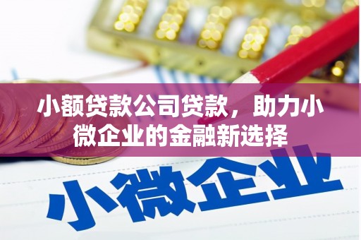 镇安小额贷款公司贷款，助力小微企业的金融新选择