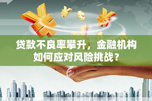 镇安贷款不良率攀升，金融机构如何应对风险挑战？
