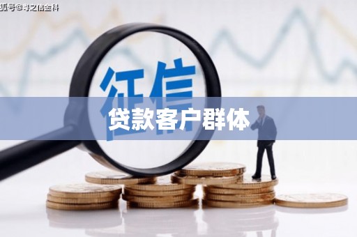 镇安贷款客户群体