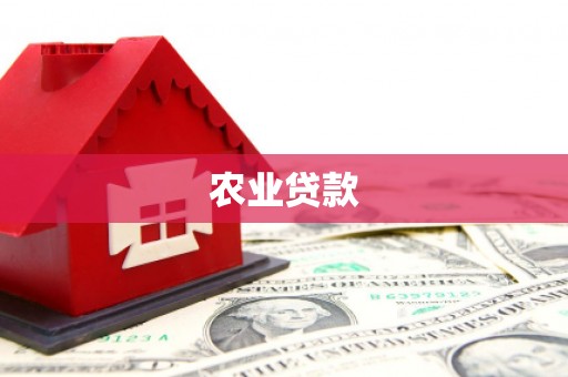 镇安农业贷款