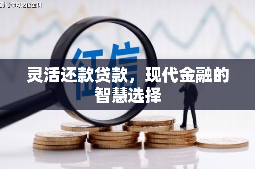 镇安灵活还款贷款，现代金融的智慧选择