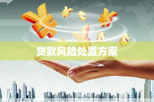 镇安贷款风险处置方案