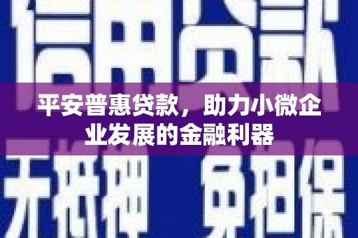 镇安平安普惠贷款，助力小微企业发展的金融利器