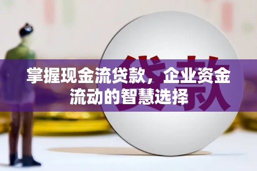 镇安掌握现金流贷款，企业资金流动的智慧选择