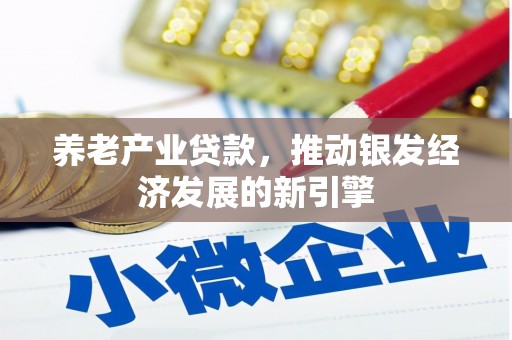 镇安养老产业贷款，推动银发经济发展的新引擎