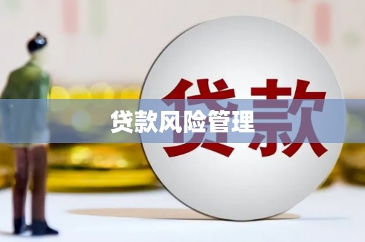 镇安贷款风险管理
