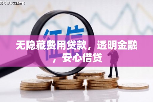 镇安无隐藏费用贷款，透明金融，安心借贷
