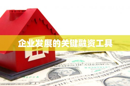 镇安企业发展的关键融资工具
