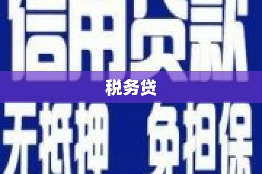 镇安税务贷
