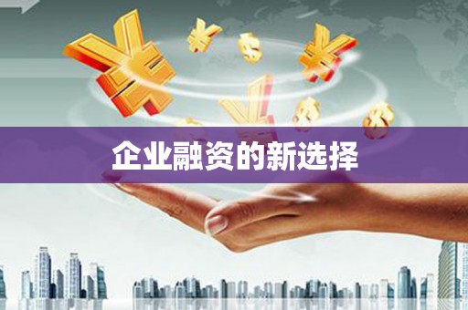 镇安企业融资的新选择