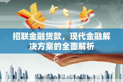 镇安招联金融贷款，现代金融解决方案的全面解析