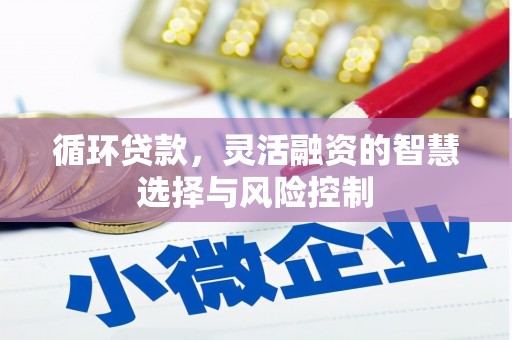 镇安循环贷款，灵活融资的智慧选择与风险控制