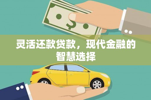 镇安灵活还款贷款，现代金融的智慧选择