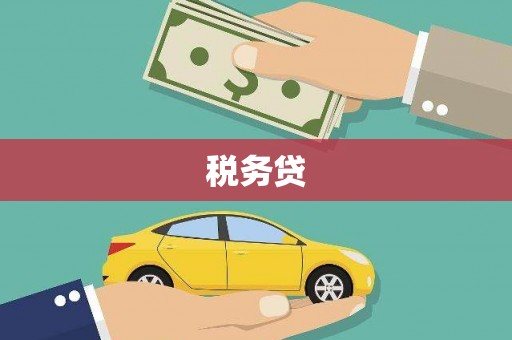 镇安税务贷