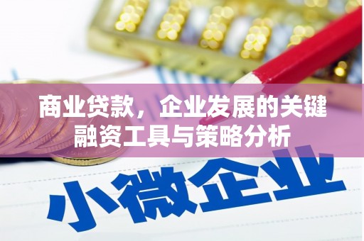 镇安商业贷款，企业发展的关键融资工具与策略分析