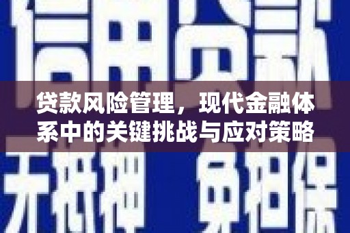 镇安贷款风险管理，现代金融体系中的关键挑战与应对策略
