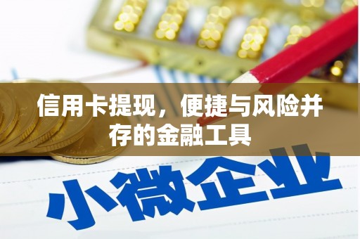 镇安信用卡提现，便捷与风险并存的金融工具