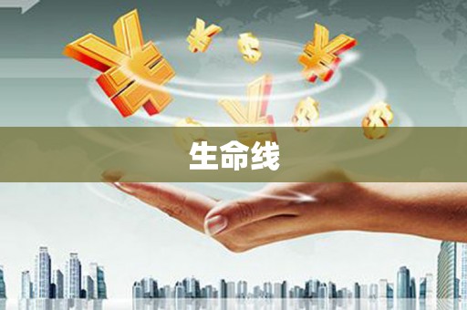 镇安生命线