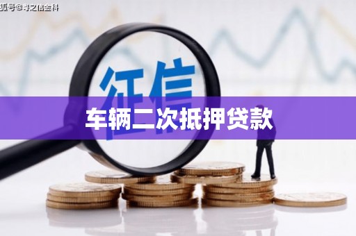镇安车辆二次抵押贷款