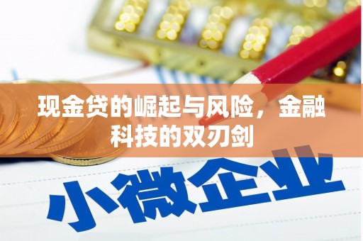 镇安现金贷的崛起与风险，金融科技的双刃剑