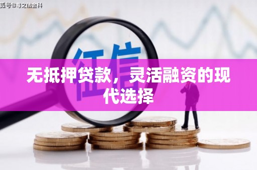 镇安无抵押贷款，灵活融资的现代选择