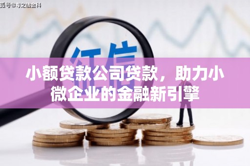 镇安小额贷款公司贷款，助力小微企业的金融新引擎
