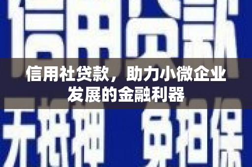 镇安信用社贷款，助力小微企业发展的金融利器