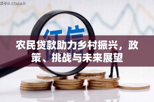 镇安农民贷款助力乡村振兴，政策、挑战与未来展望