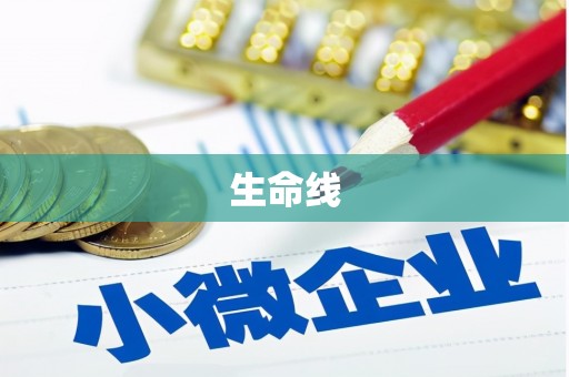 镇安生命线