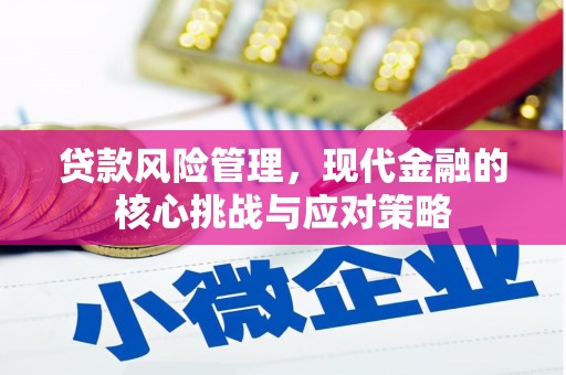 镇安贷款风险管理，现代金融的核心挑战与应对策略