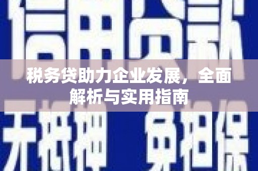 镇安税务贷助力企业发展，全面解析与实用指南
