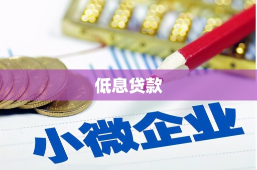 镇安低息贷款