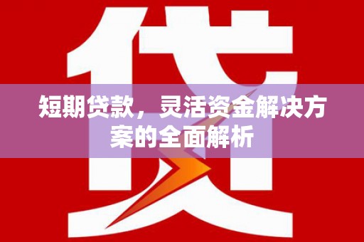 镇安短期贷款，灵活资金解决方案的全面解析
