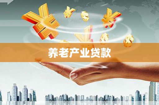 镇安养老产业贷款