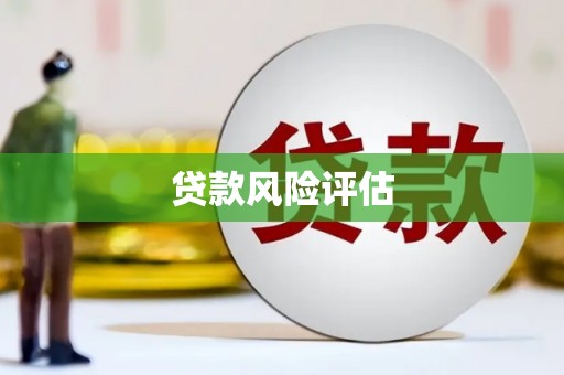 镇安贷款风险评估