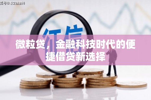 镇安微粒贷，金融科技时代的便捷借贷新选择