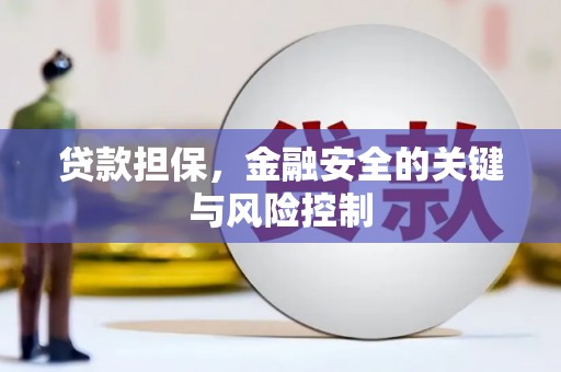 镇安贷款担保，金融安全的关键与风险控制
