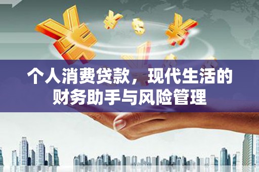 镇安个人消费贷款，现代生活的财务助手与风险管理