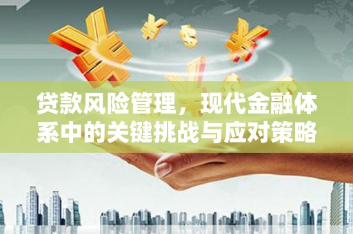 镇安贷款风险管理，现代金融体系中的关键挑战与应对策略