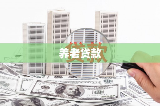 镇安养老贷款