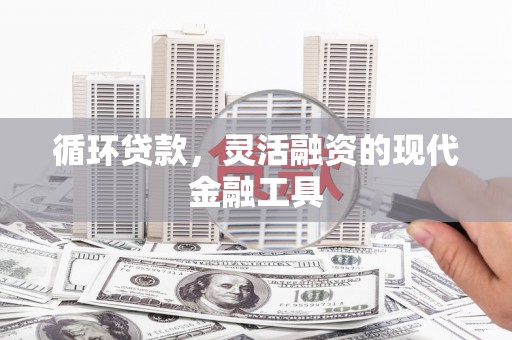 镇安循环贷款，灵活融资的现代金融工具