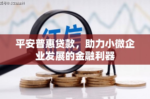 镇安平安普惠贷款，助力小微企业发展的金融利器